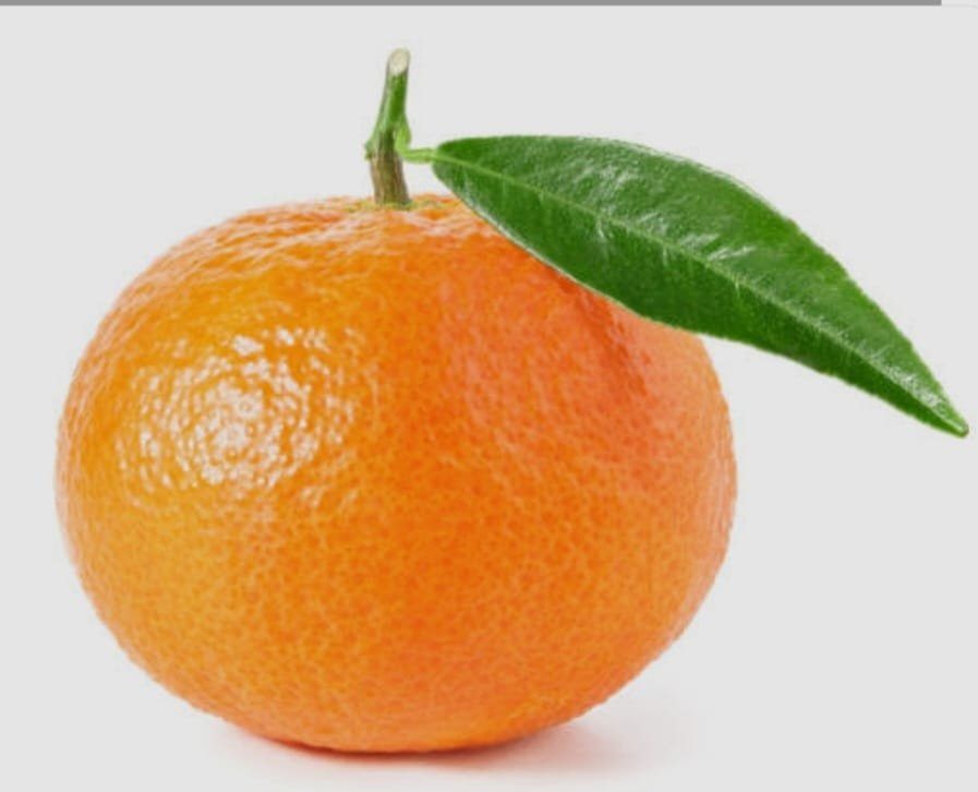 Yapraklı taze mandalina